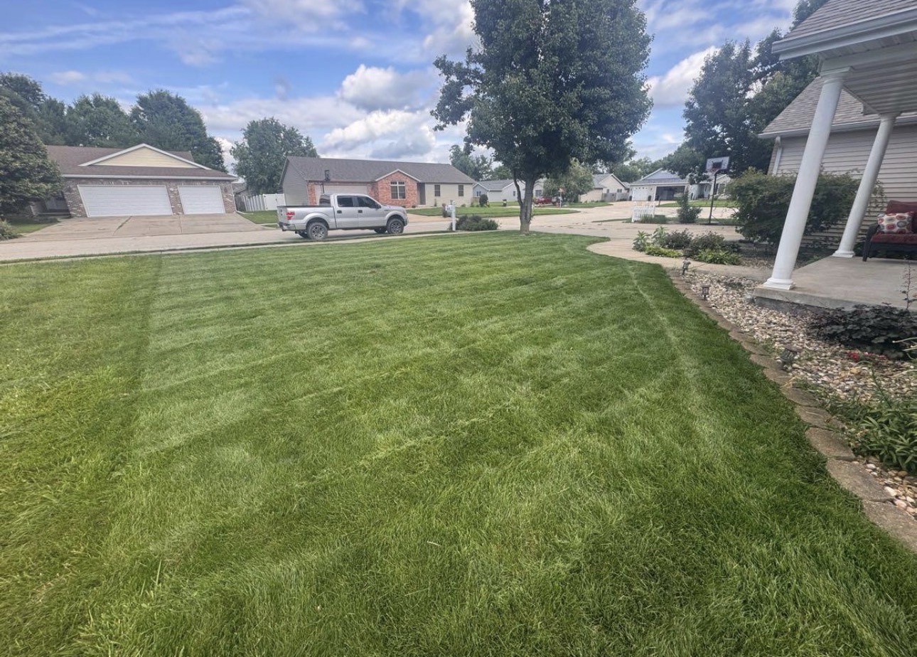 Front lawn cut clean along the driveway