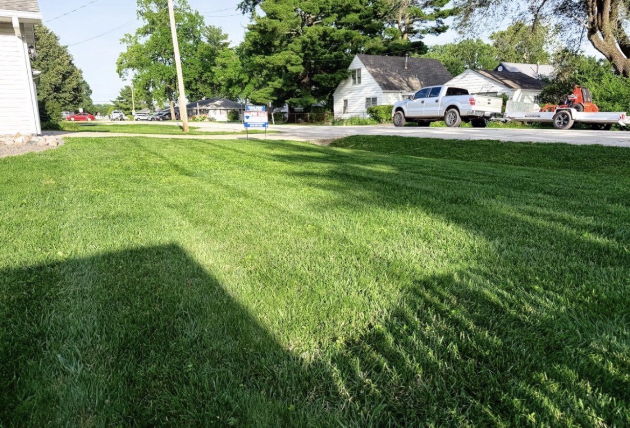 Evening cut with long shadows and clean lines