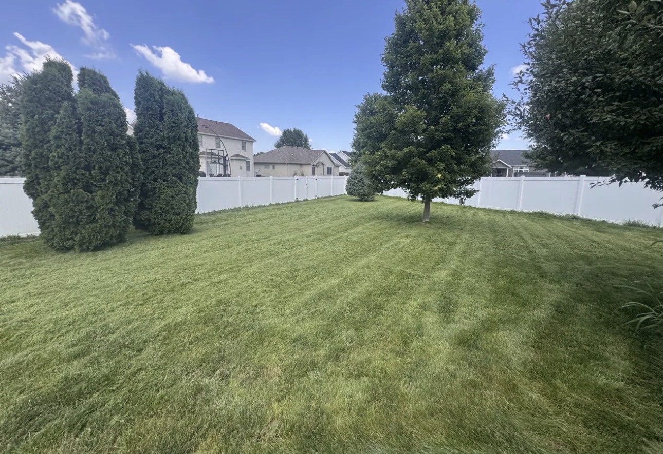 Fenced backyard cut evenly around trees and shrubs
