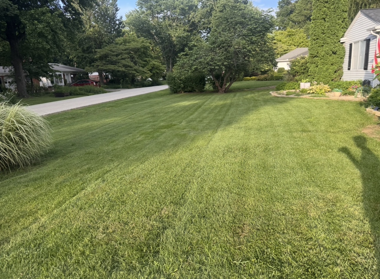 Suburban lawn with fresh mowing stripes